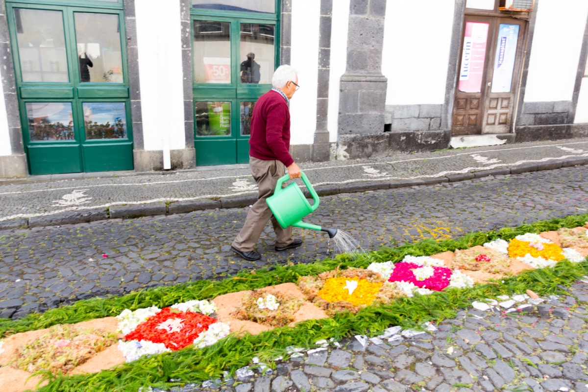 21-IMG_0050-1.jpg