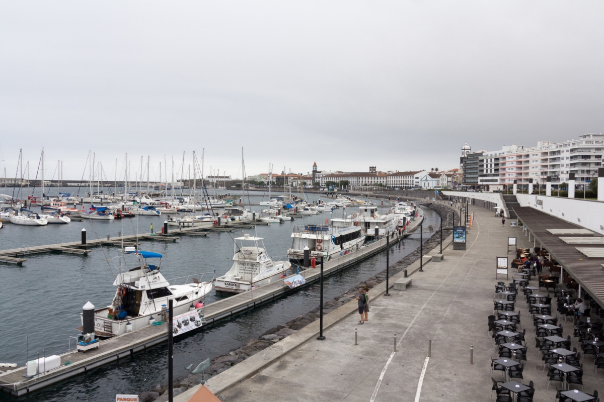 01-IMG_0012-1.jpg