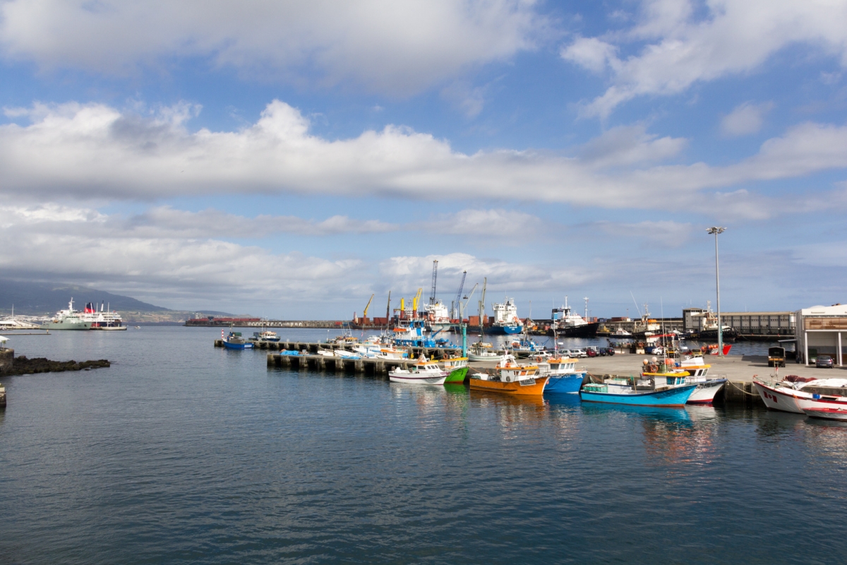 02-IMG_0149-1.jpg