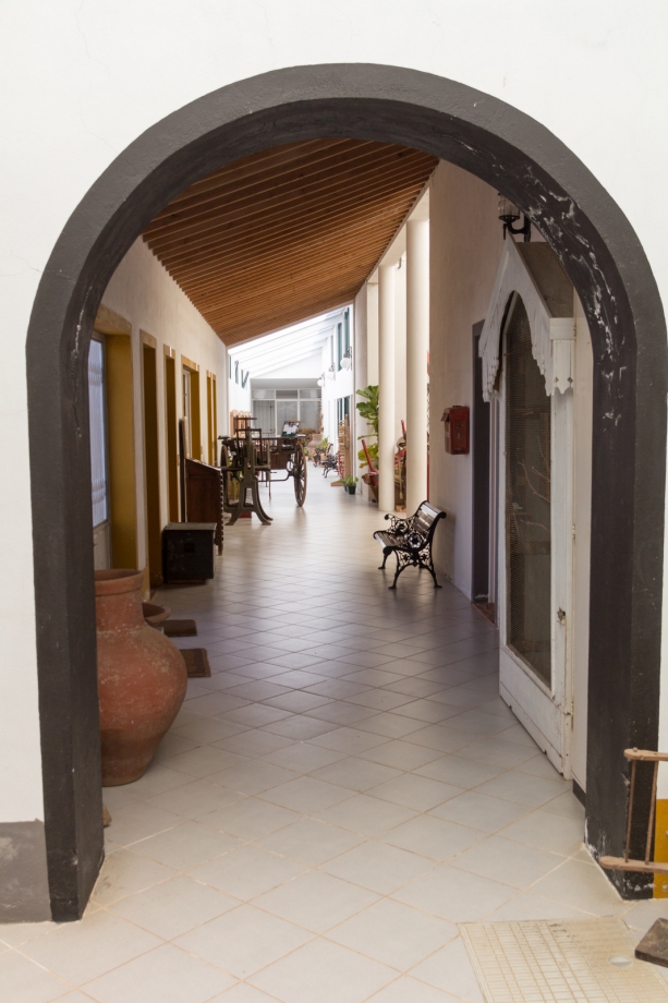 64-IMG_0335-1.jpg