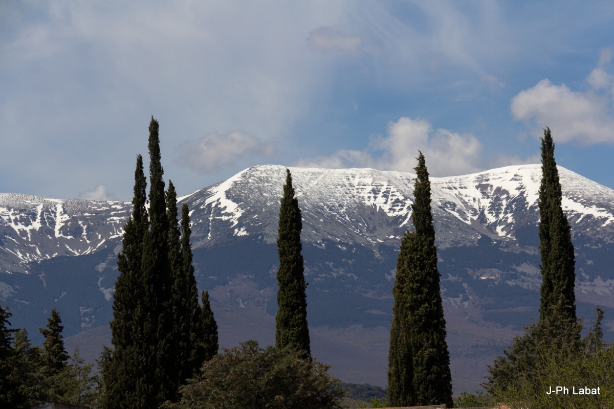 79-IMG_0288-1.jpg