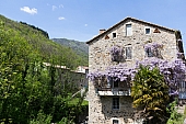 33-IMG_0494-1.jpg
