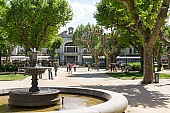 40-IMG_0511-1.jpg