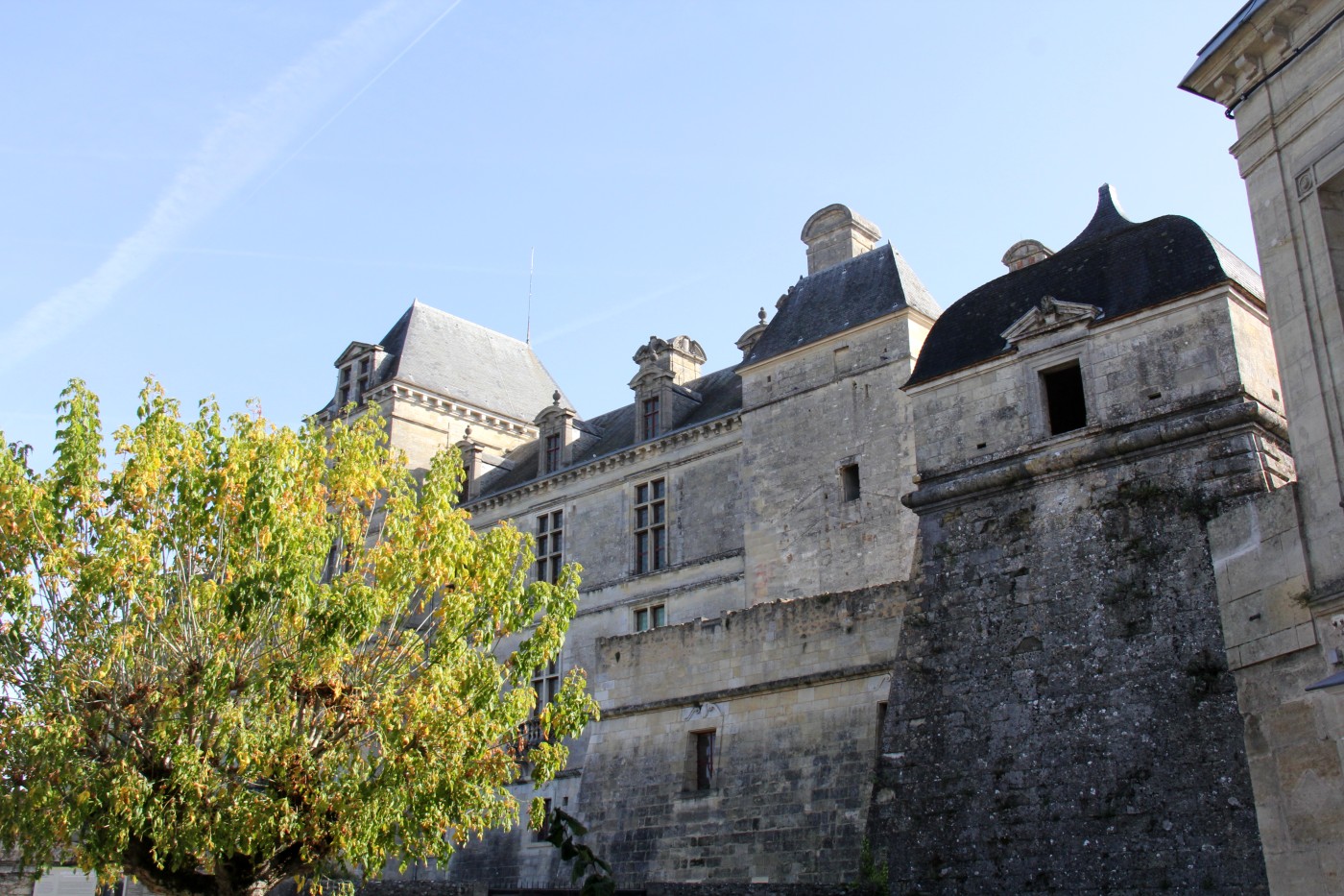 05-IMG_1546.jpg