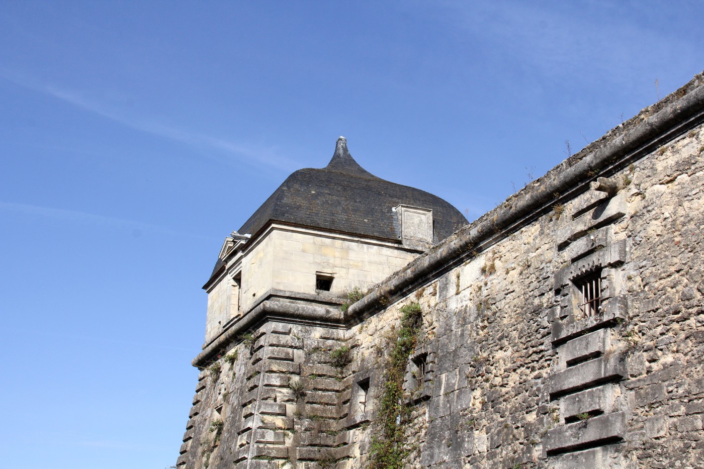 08-IMG_1541.jpg