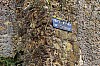 16-IMG_1547b.JPG