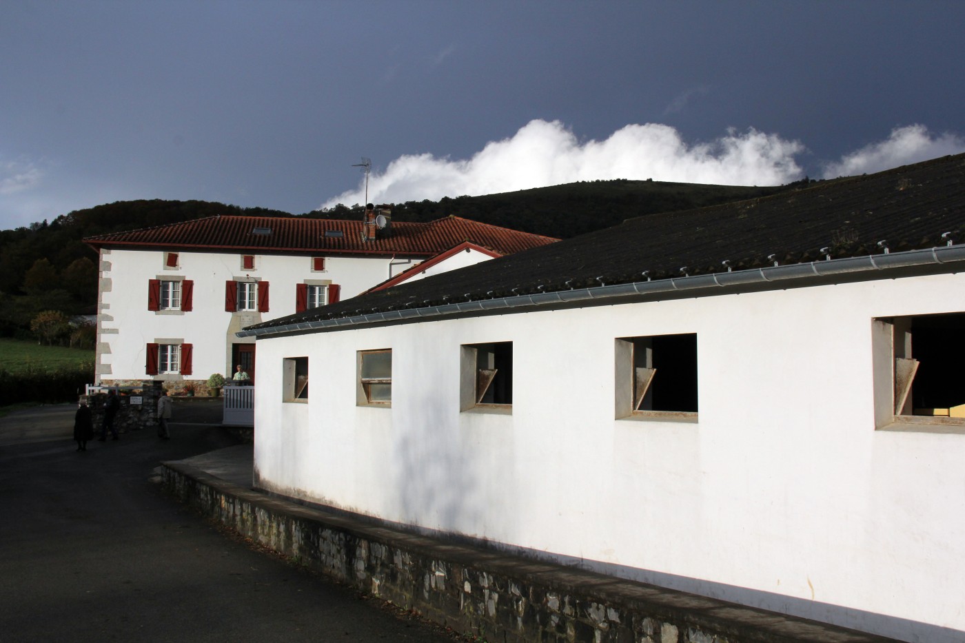 20-IMG_1854.jpg