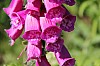 03-IMG_0437.jpg