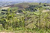 06-IMG_0468.jpg