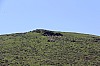10-IMG_0478.jpg