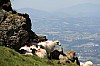 11-IMG_0497.jpg
