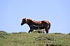 15-IMG_0528.jpg
