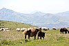 16-IMG_0539.jpg