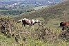 18-IMG_0543.jpg
