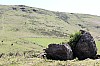 19-IMG_0550.jpg