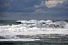 IMG_4889.jpg